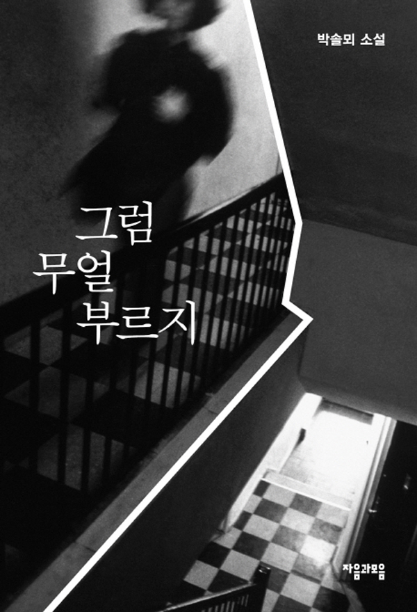 박솔뫼 작가의 (자음과모음 출판) 표지