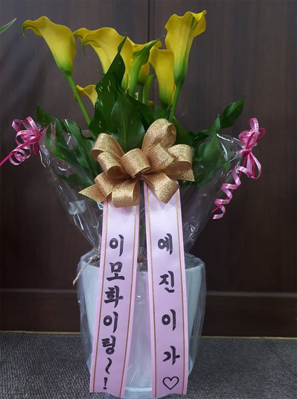 세월호 참사 단원고 희생자 예진이 이름으로 후보에게 온 화분, 예진 엄마는 정세경 후보의 열성 자원봉사자로 선거를 뛰었다.
