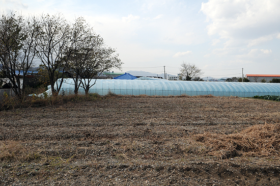 영남대가 김해공항 인근 울만마을에 소유하고 있는 토지의 일부 전경.