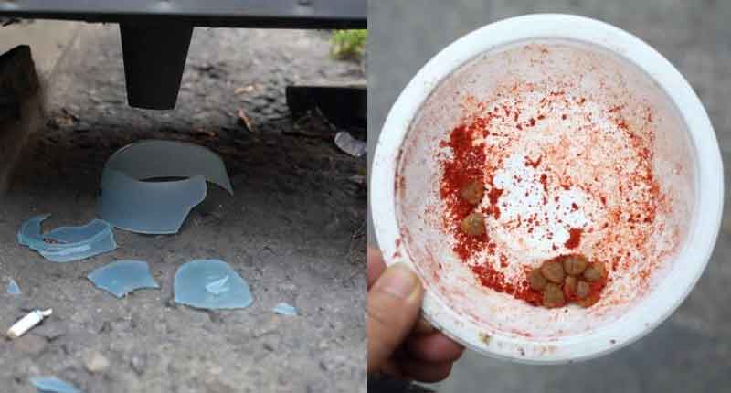 고양이 밥그릇이 깨져 있는 모습(왼쪽), 고양이 밥그릇에 고춧가루가 들어있는 모습(오른쪽)