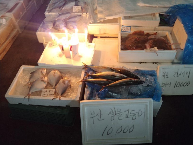 단전·단수 4일째인 7일 오전, 구 노량진시장의 모습
