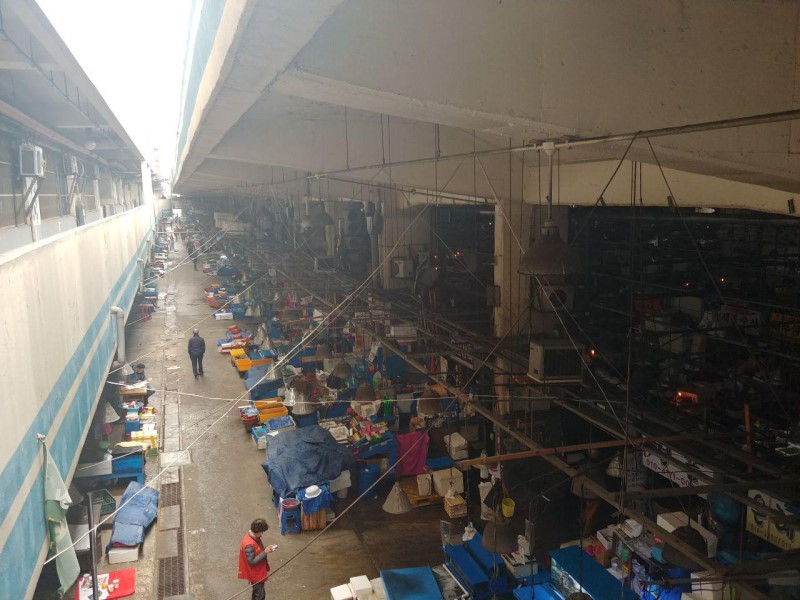 단전·단수 4일째인 7일 오전, 구 노량진수산시장의 모습