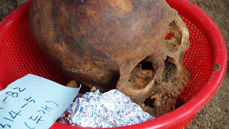 비교적 보존상태가 양호한 모습으로 발굴된 유해. 두개골의 크기로 볼 때 20대 초반의 여성으로 추정된다.