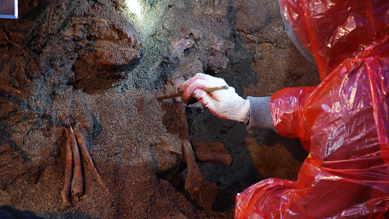 동굴 입구 오른쪽 벽면에서 겹겹이 쌓인 채 드러난 유해. 발굴팀이 붓으로 흙을 제거하고 있다.