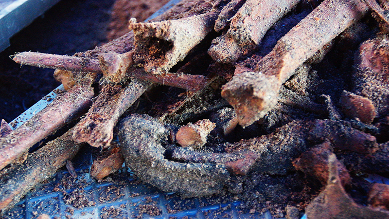 발굴된 피학살자들의 유골과 신발.