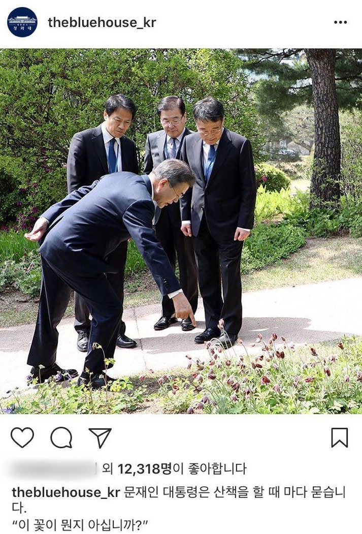 청와대 인스타그램
