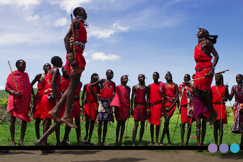 마사이족 전통춤, 아프리카의 역동하는 에너지를 보여주다