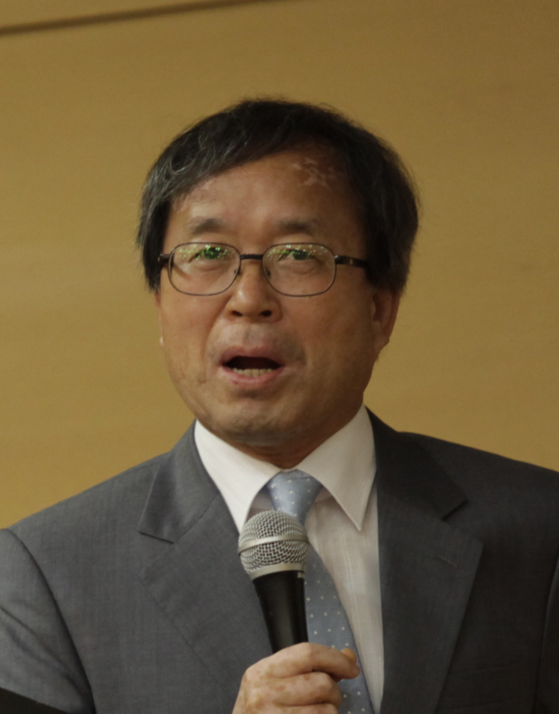 김흥규, 문학평론가