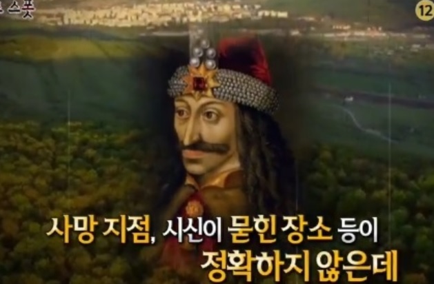 호이아 바치우 숲