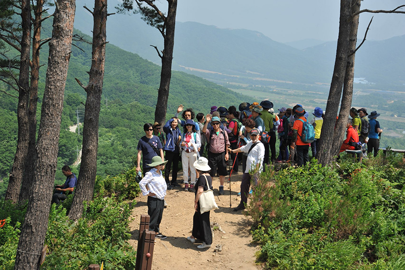 비무장지대 주변지 답사