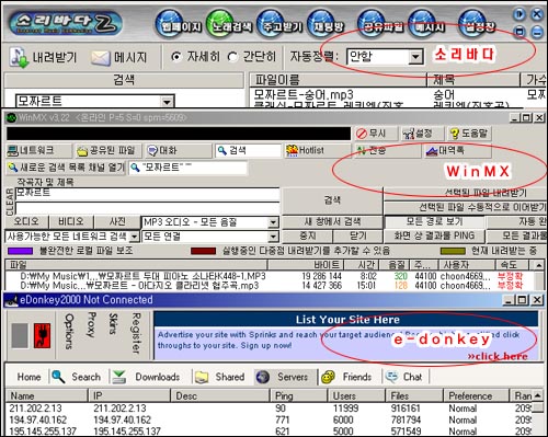 소리바다의 화려한 부활