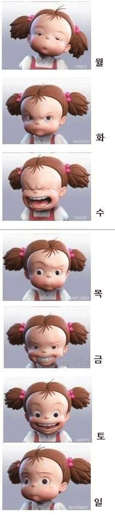 직장인