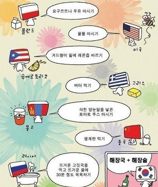 http://www.vop.co.kr/A00000671502.html 나라별 해장 방법, 술깨는 방법 각양각색