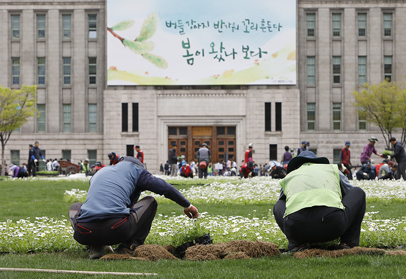 13일 오후 서울 중구 세종대로 시청 앞 서울광장에서 한반도 모양을 형상화한 '평화의 꽃밭' 조성 작업이 진행되고 있다.