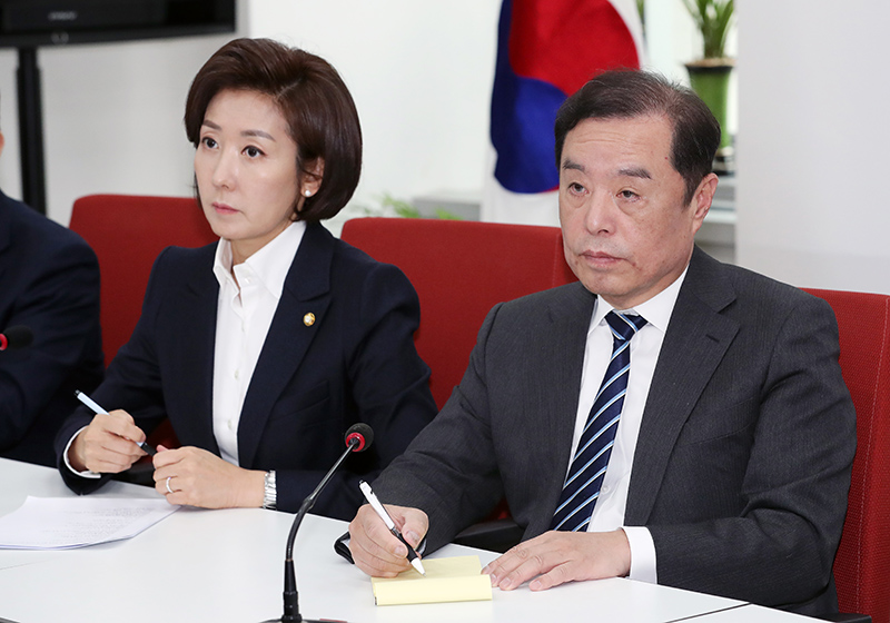 김병준 자유한국당 비상대책위원장과 나경원 원내대표. (자료사진)