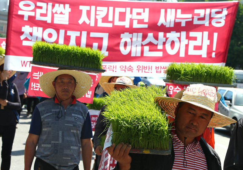 5월 21일 오후 서울역 광장에서 'WTO쌀협상포기, 쌀값폭락, 약속위반 밥쌀용 쌀 수입 규탄대회'에 참석한 전국농민회총연맹 소속 농민들이 청와대에 모판을 반납하기 위해 행진하고 있다.