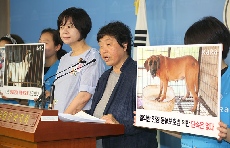 임순례 카라 대표가 22일 오전 국회 정론관에서 열린 식용 개농장 실태조사 기자회견에서 발언하고 있다.