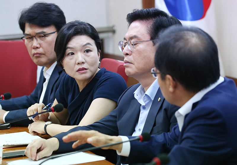 자유한국당 류여해 최고위원 자료사진.