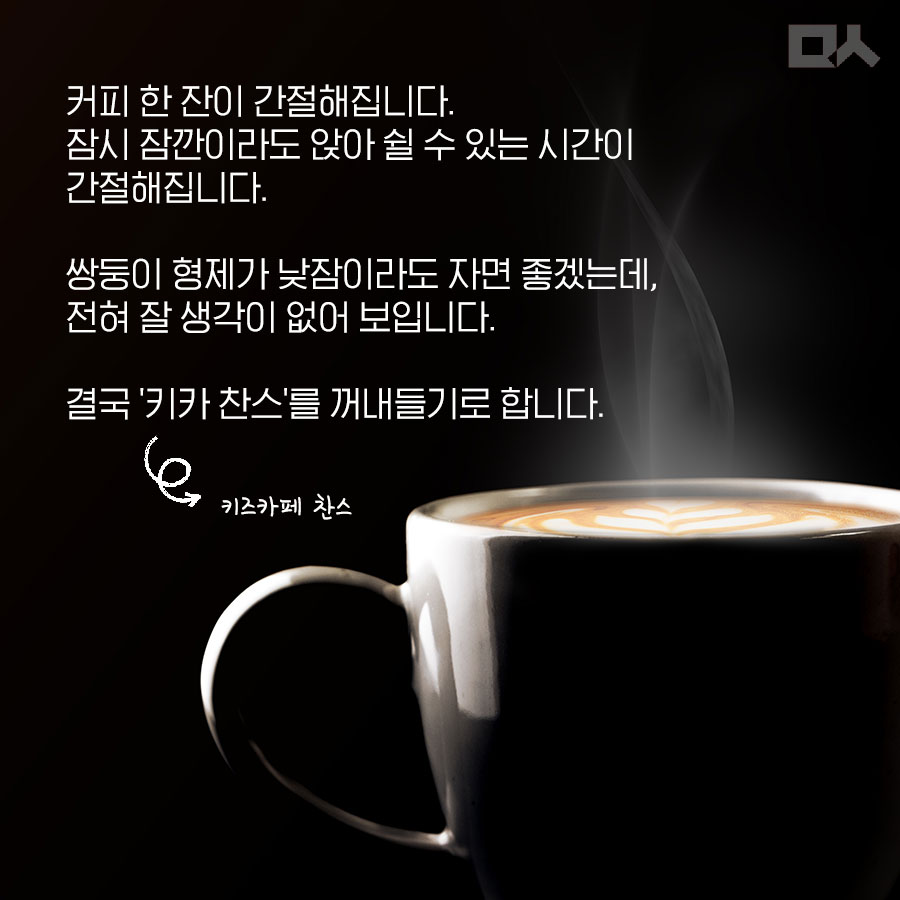없음