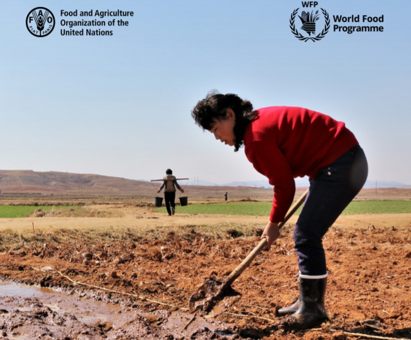 세계식량계획(WFP)이 식량농업기구(FAO)와 최근 공동 조사·발표한 '북한의 식량안보 평가' 보고서 표지