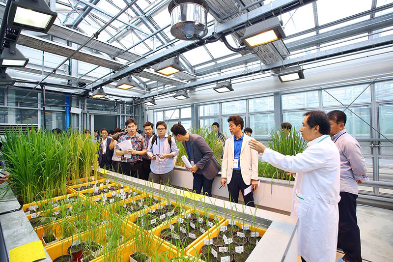 GMO 설명회 갖는 농촌진흥청