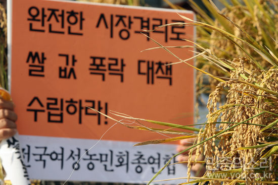 쌀값 폭락 책임져라!