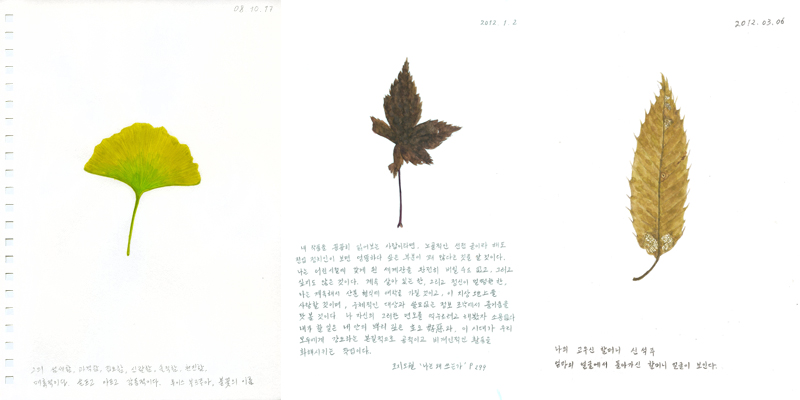 허윤희 작가는 미국의 시인이자 철학가 헨리 데이비드 소로의 수필 ‘가을의 빛깔들’에서 영감을 얻어 ‘나뭇잎 일기’라는 작업을 2008년부터 진행해 왔다. 이같은 작업은 1200여장이 넘는다.
