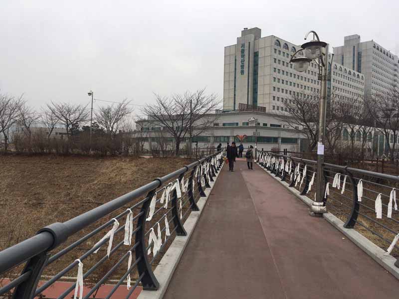 서울 잠실나루역 인근 성내천을 지나 서울아산병원으로 가는 육교에 고 박선욱 간호사를 추모하는 하얀 리본이 매달려있다.
