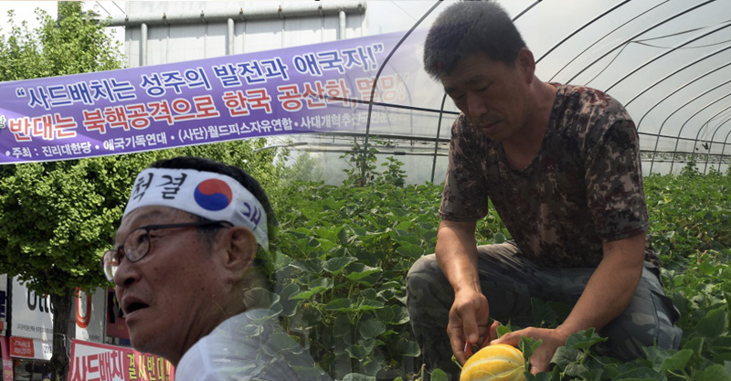 경북 성주에서 참외 농사를 하는 이희동가 참외를 수확하고 있다. 왼편은 보수단체의 성주 집회 사진.