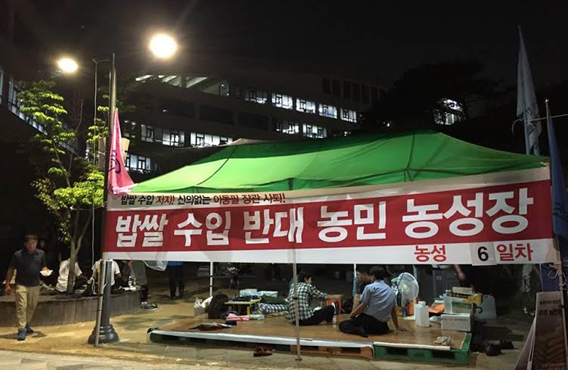 밥쌀 수입 반대 농민 농성장 모습