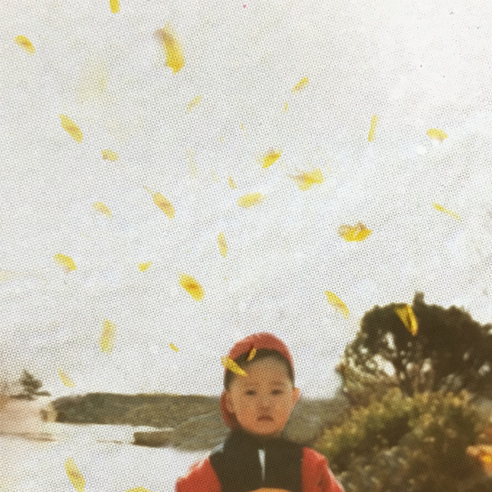 문문