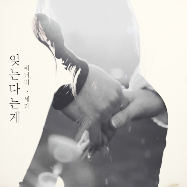 세진미디어 이미지