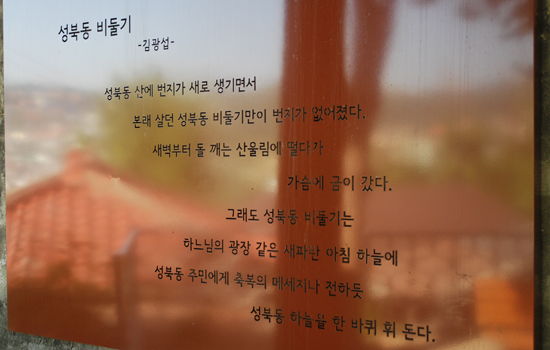 성북동비둘기
