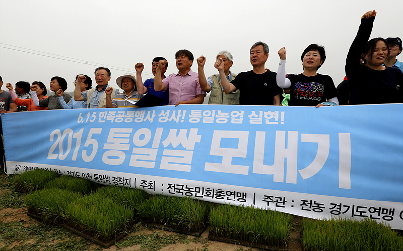 전국농민회총연맹이 5월 31일 경기도 이천시 대월면 통일쌀 경작지에서 '6.15 민족공동행사 성사와 통일농업실현을 위한 2015 통일쌀 모내기' 행사를 열고 있다.