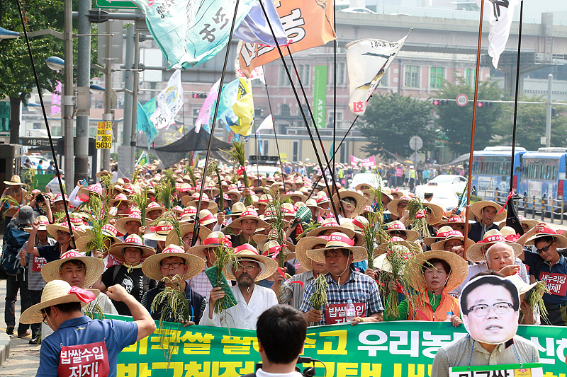 밥쌀용 쌀 수입저지와 박근혜 정부를 규탄 전국농민대회를 마치고 행진하는 농민들