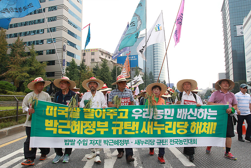 전국농민회총연맹 소속 농민들이 7월 31일 서울역 광장에서 열린 밥상용 쌀 수입저지와 박근혜 정부 새누리당 규탄 전국농민대회를 마친 후 행진하고 있다.