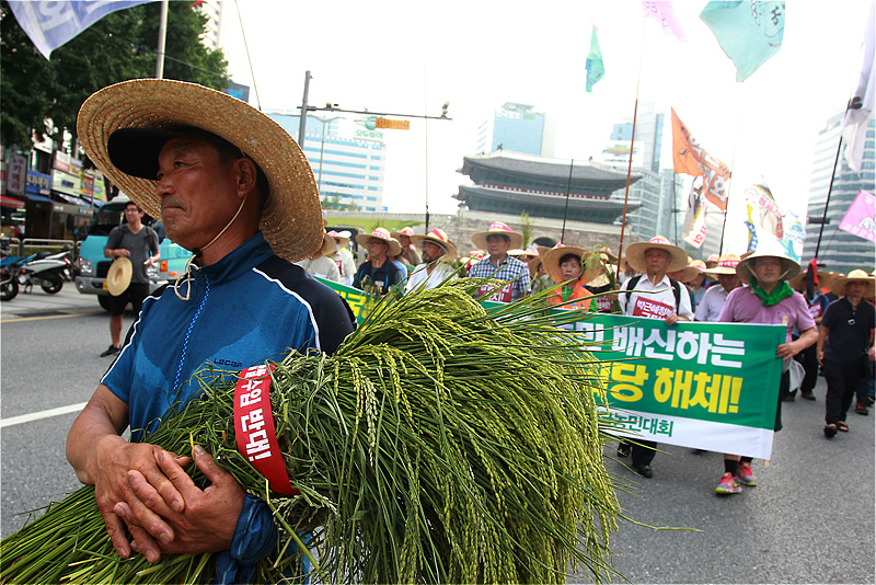 전국에서 서울로 상경한 전국농민회총연맹 소속 농민들이 31일 서울역 광장에서 열린 밥상용 쌀 수입저지와 박근혜 정부 새누리당 규탄 전국농민대회를 마친 후 행진하고 있다.