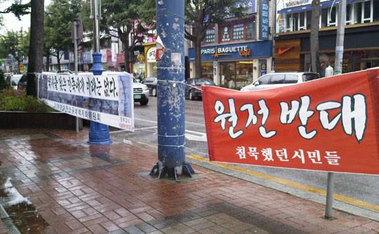 삼척 시내에 내걸린 핵박전소 유치 백지화 촉구 현수막들
