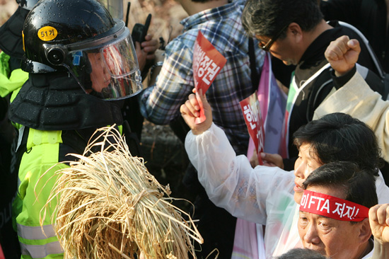 국회 진입시도하는 참가자들을 막아선 경찰