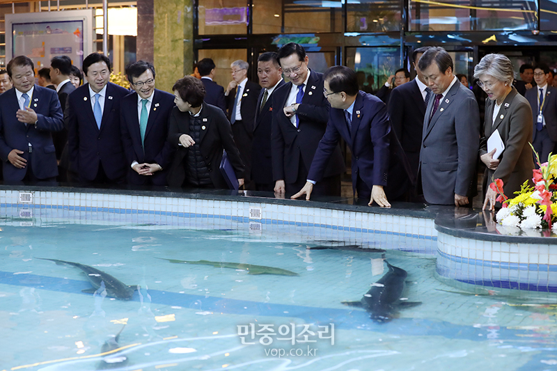 상어식당 이미지