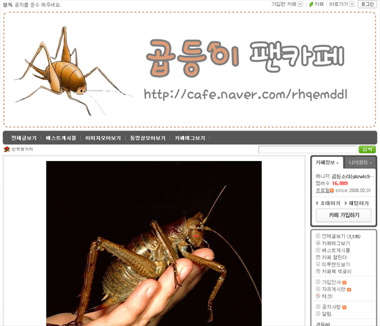 꼽등이 팬카페