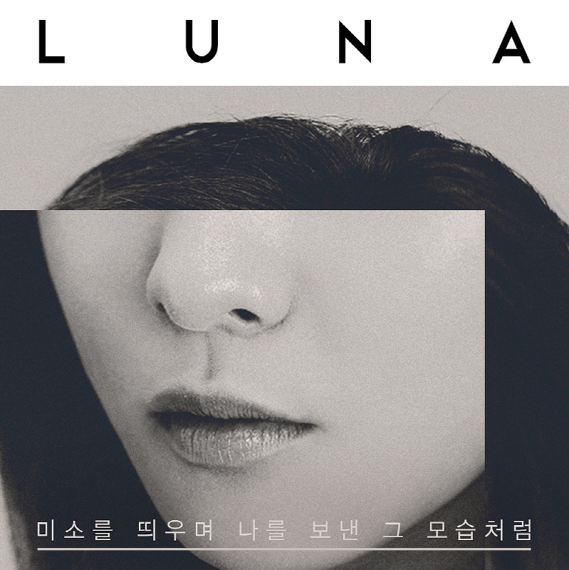 루나건 이미지