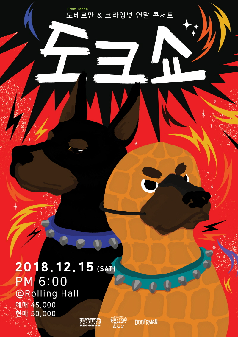 도베르만&크라잉넛 연말 콘서트 ‘도크쑈’