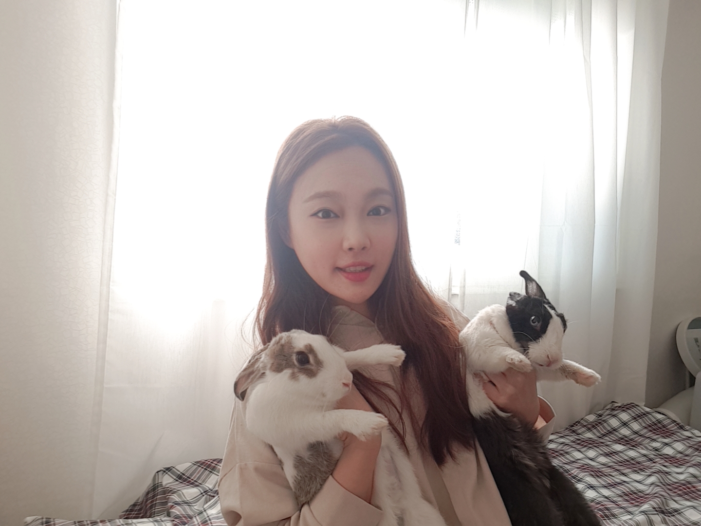 이순지 한국일보 기자와 그의 토끼 햇살이(왼쪽)와 랄라(오른쪽).