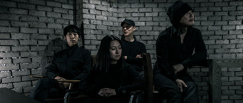 밴드 파울로시티