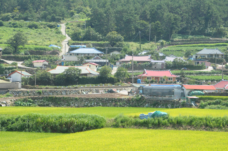 2014년 촬영한 전남 고흥 모습