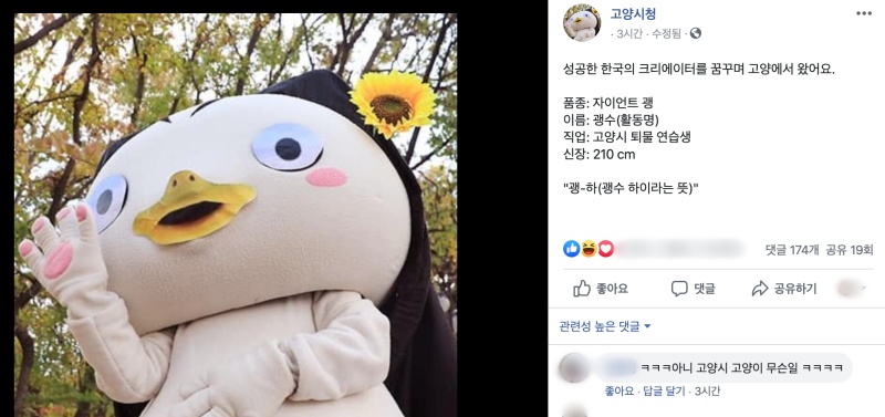 고양시청 페이스북 프로필 사진으로 올라온 새 캐릭터 '괭수'의 모습