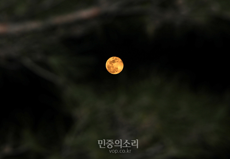 하늘에 보름달이 환하게 떠 있다.(자료사진)