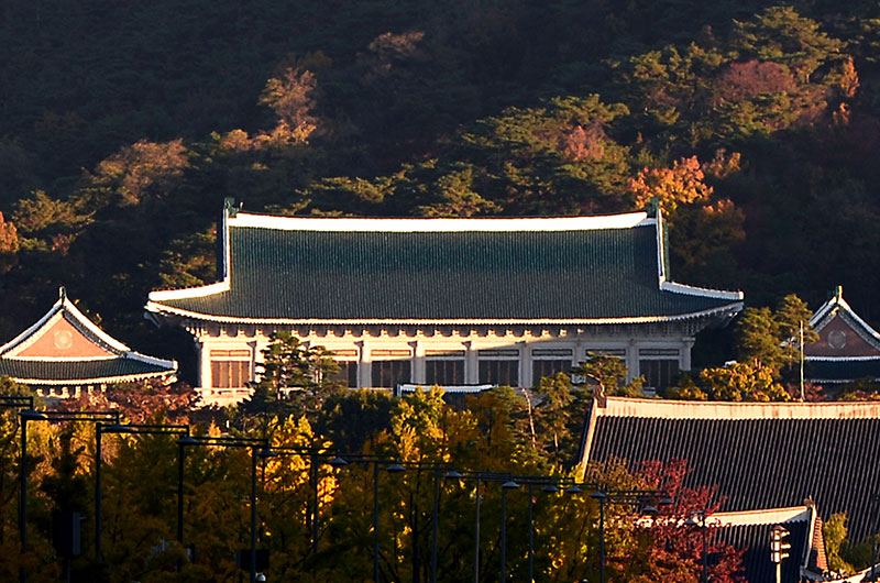 청와대 전경