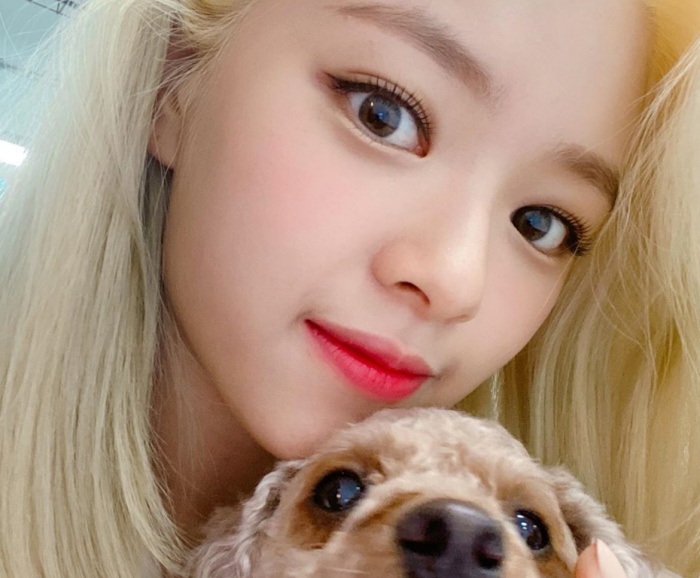 트와이스 정연<br